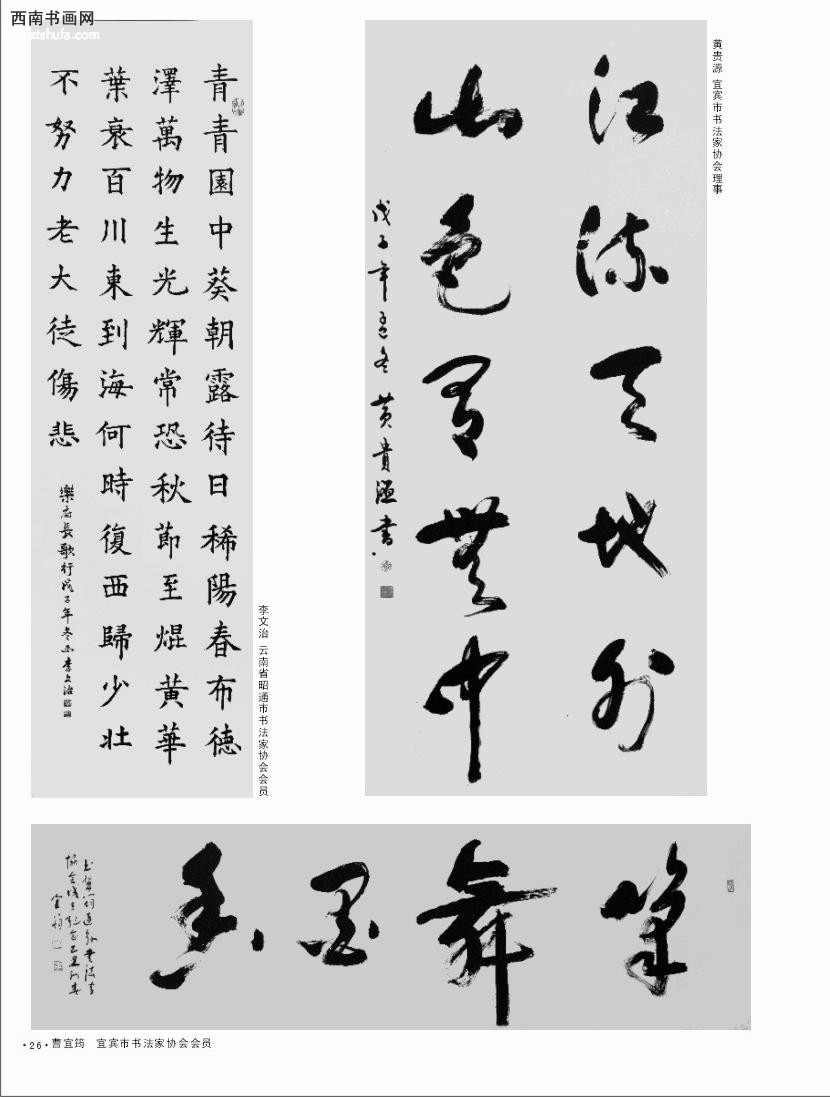 鷨32.JPG