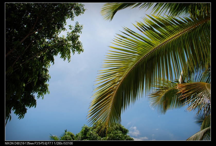 DSC_0082.jpg