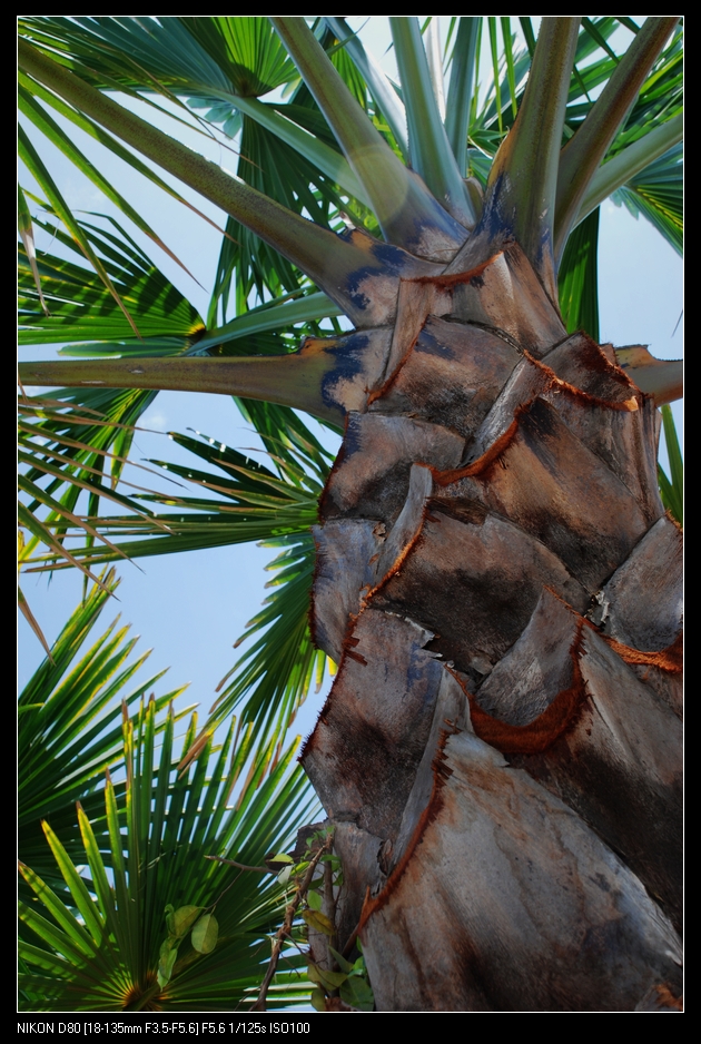 DSC_0087.jpg