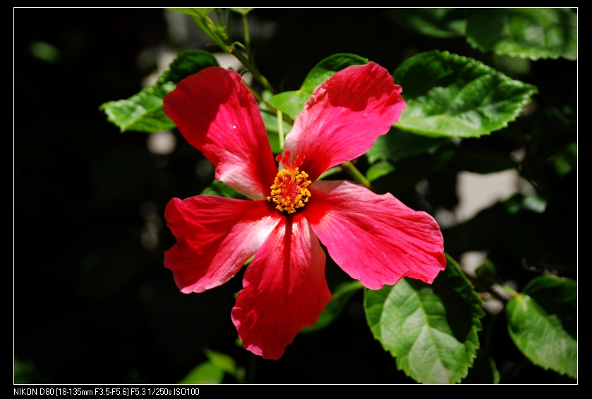 DSC_0089.jpg