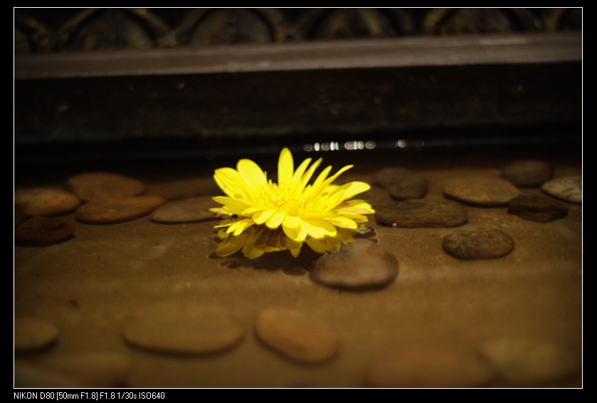 DSC_0090.jpg