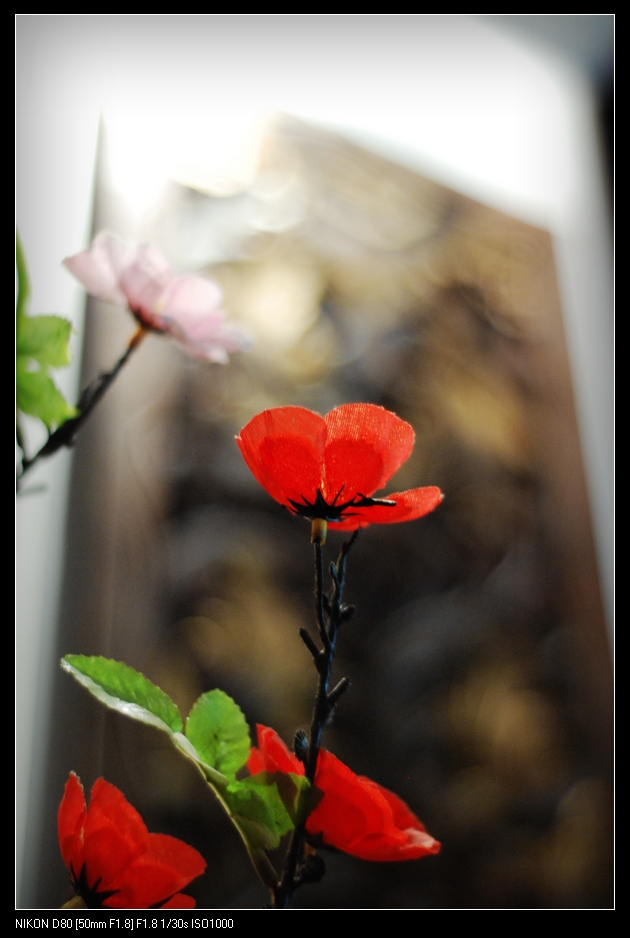 DSC_0095.jpg