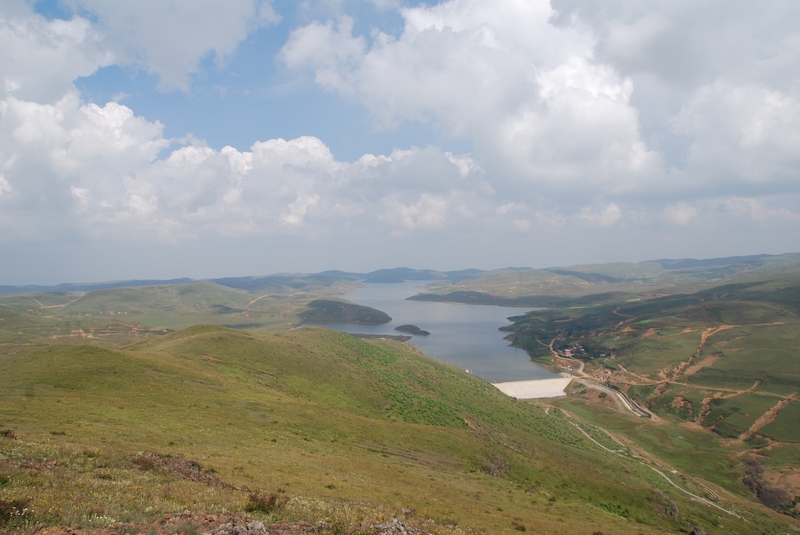 DSC_0642.jpg