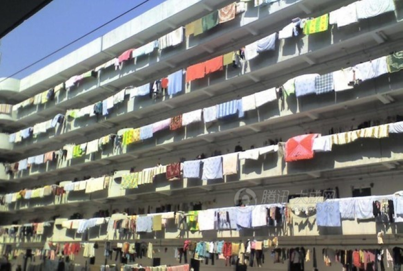 96.jpg