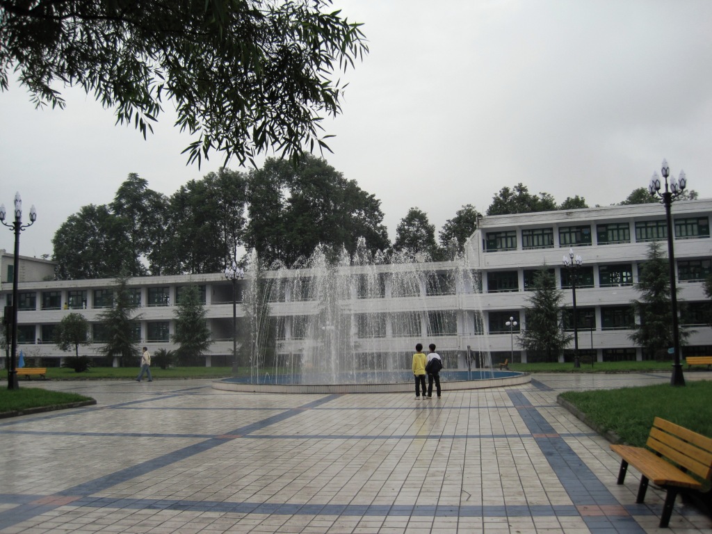 010.JPG