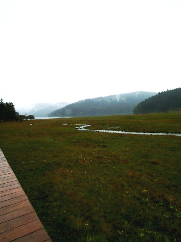 77.jpg