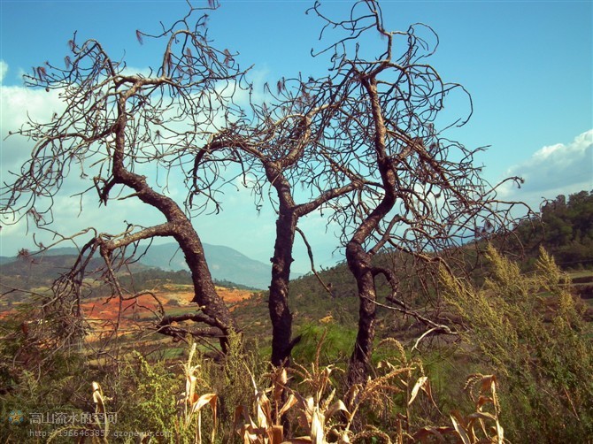 67.jpg