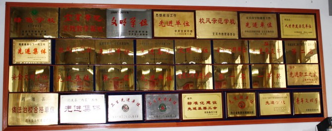 05.jpg