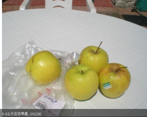 15.jpg