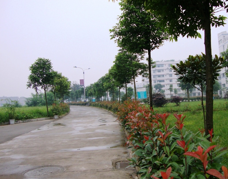 04.JPG