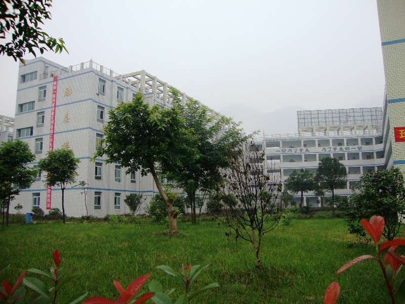 06.JPG