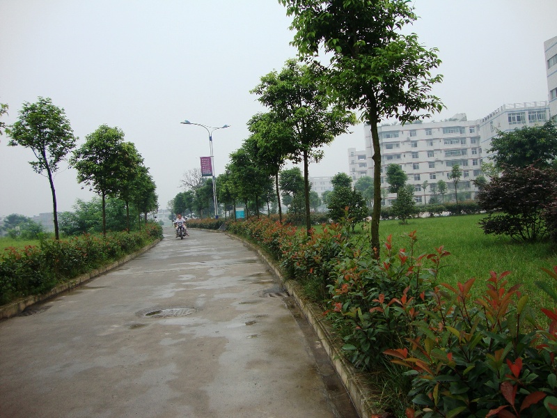 10.JPG