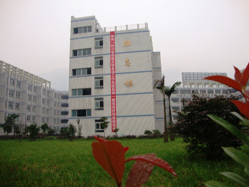 11.JPG