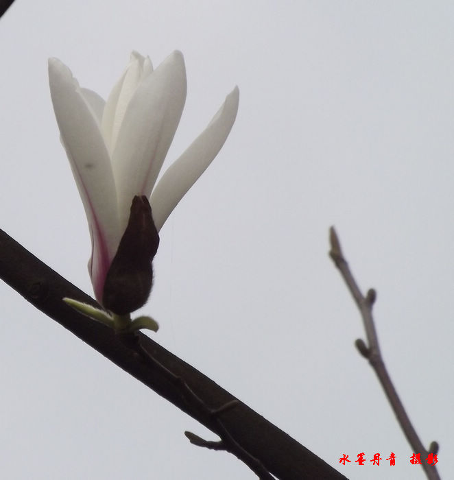 DSCF4307.jpg
