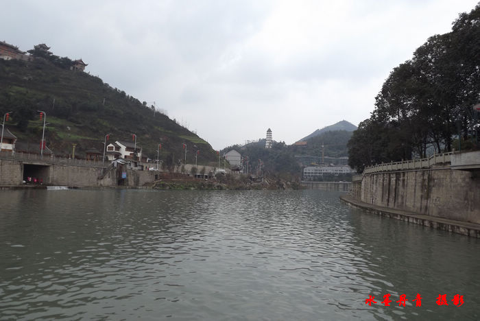 DSCF4350.jpg