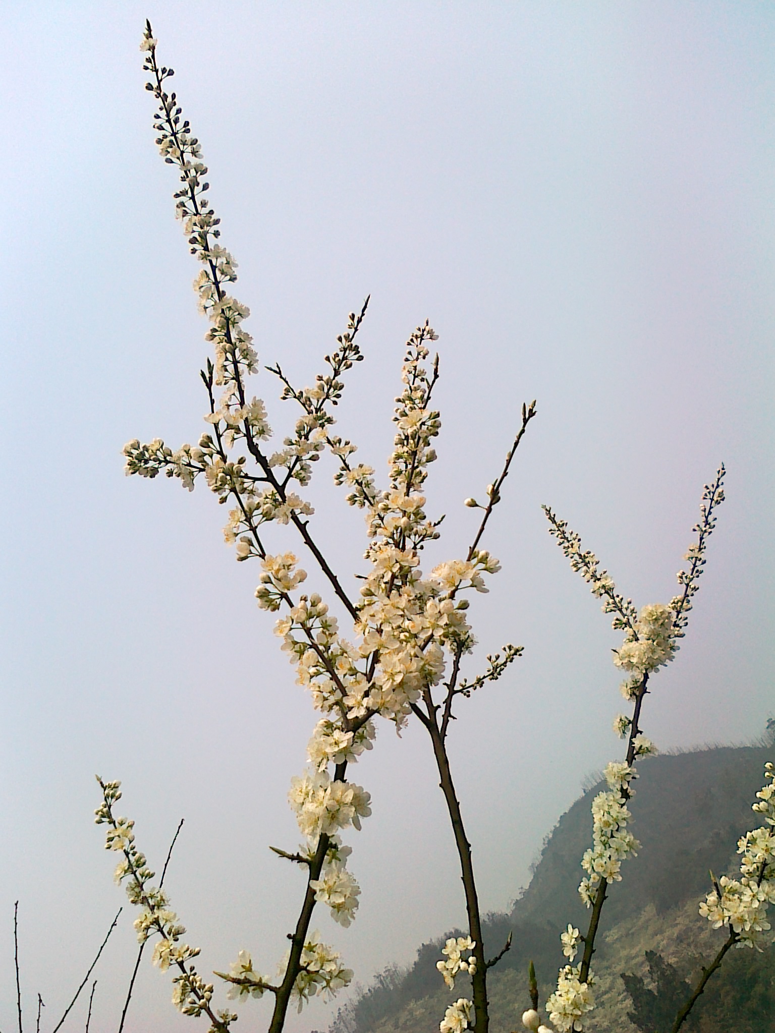 20120318603.jpg