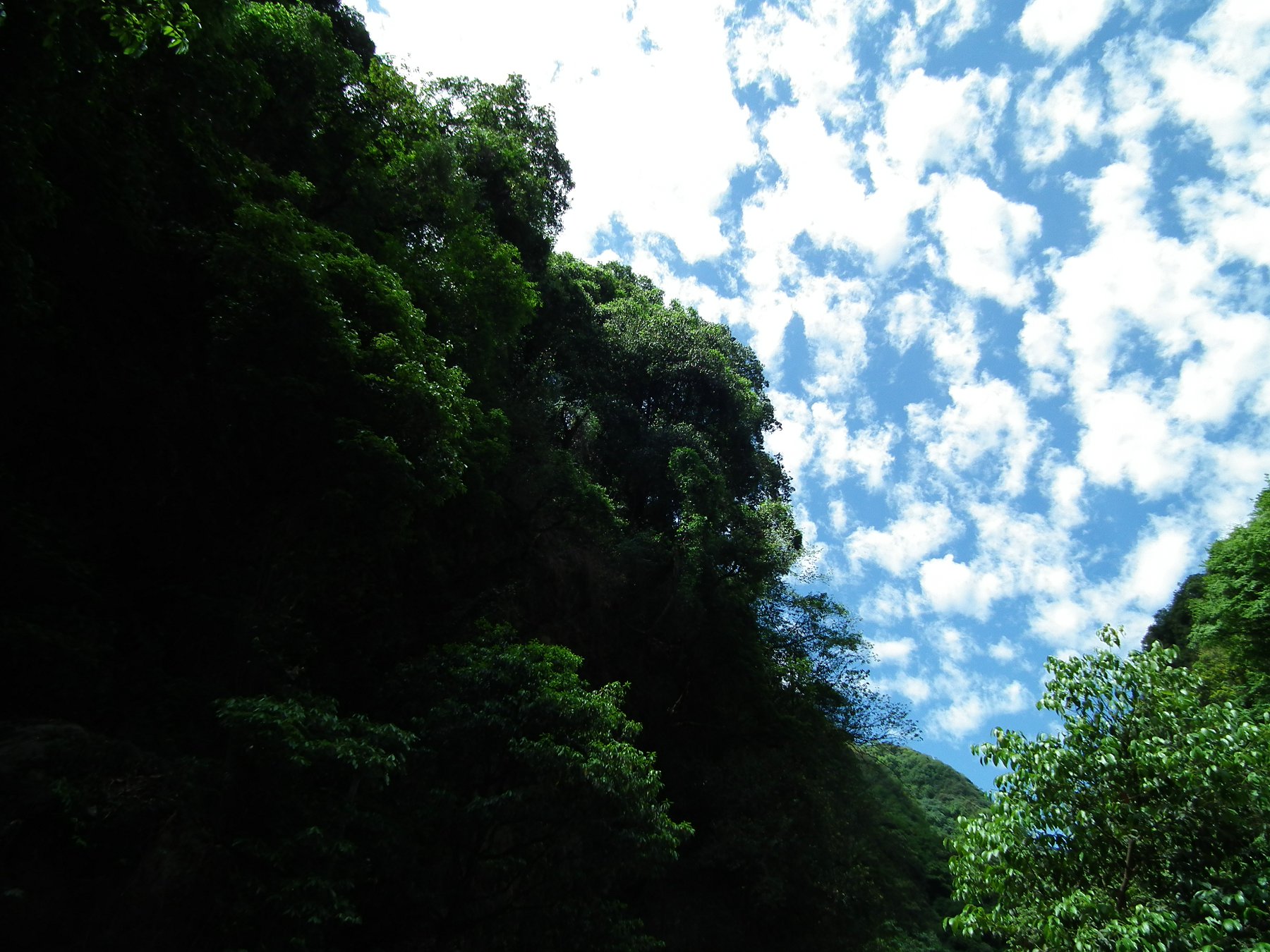 DSCF4520.JPG