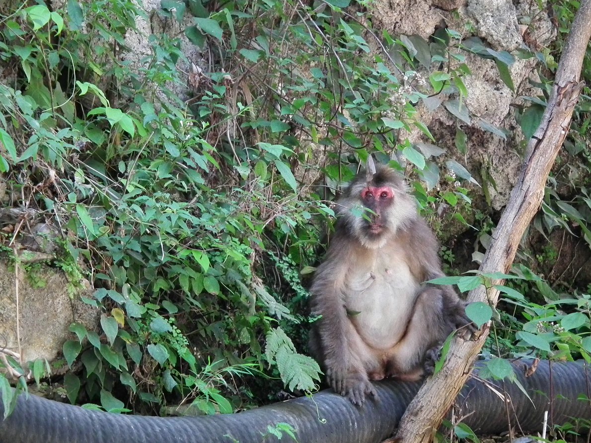DSCF4628.JPG