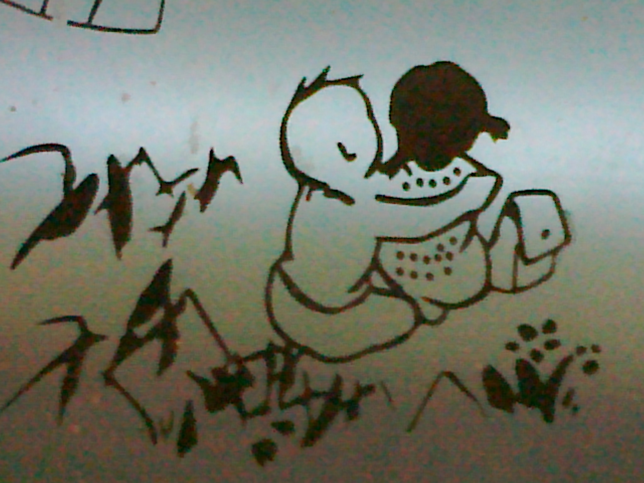 20120520787.jpg