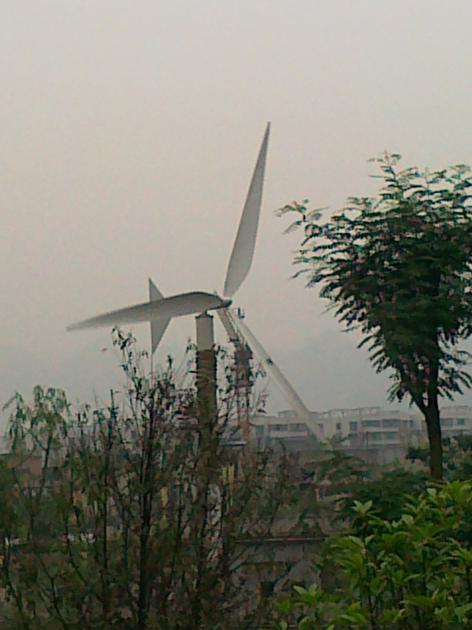20120526797.jpg