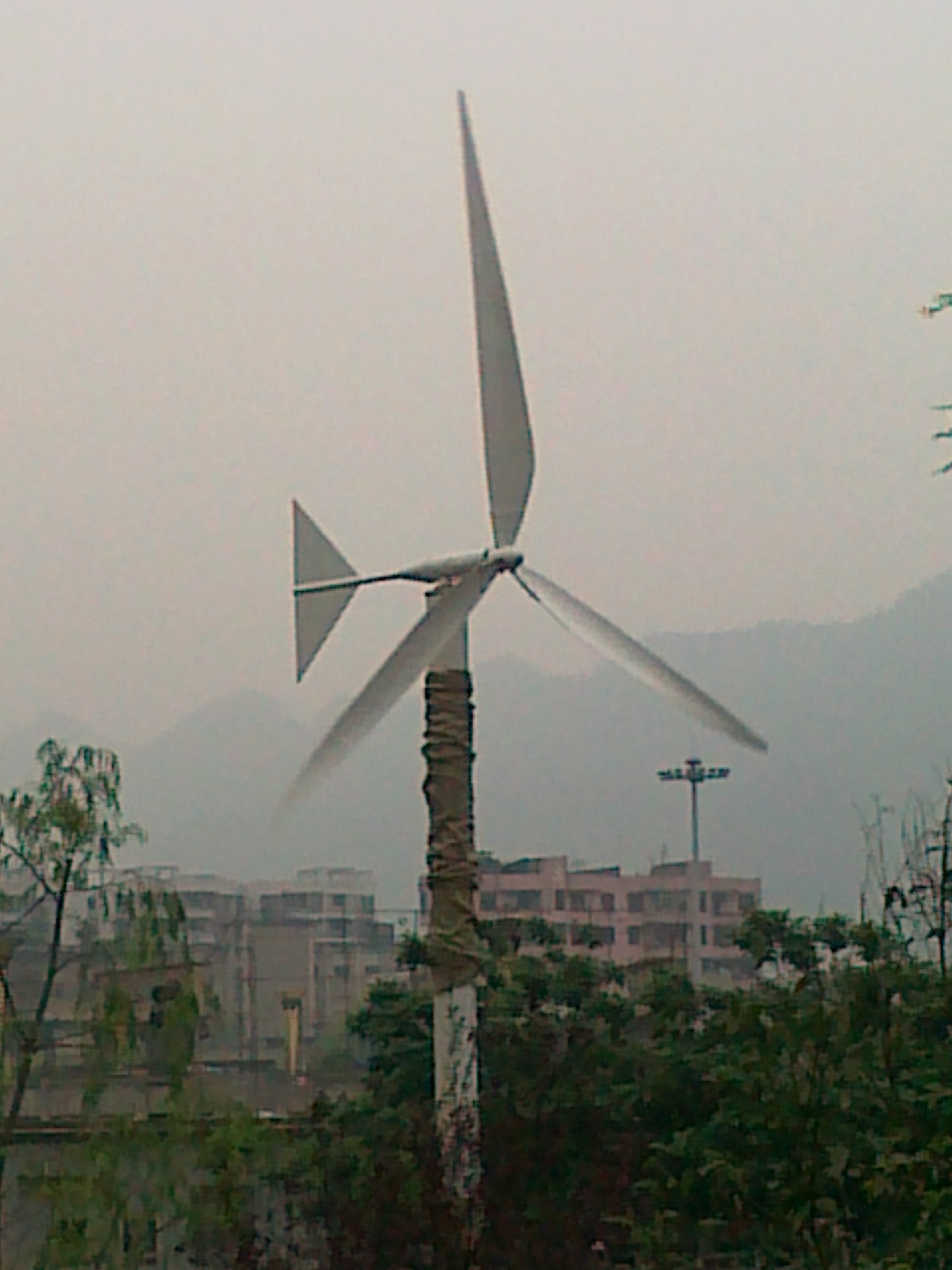 20120526798.jpg