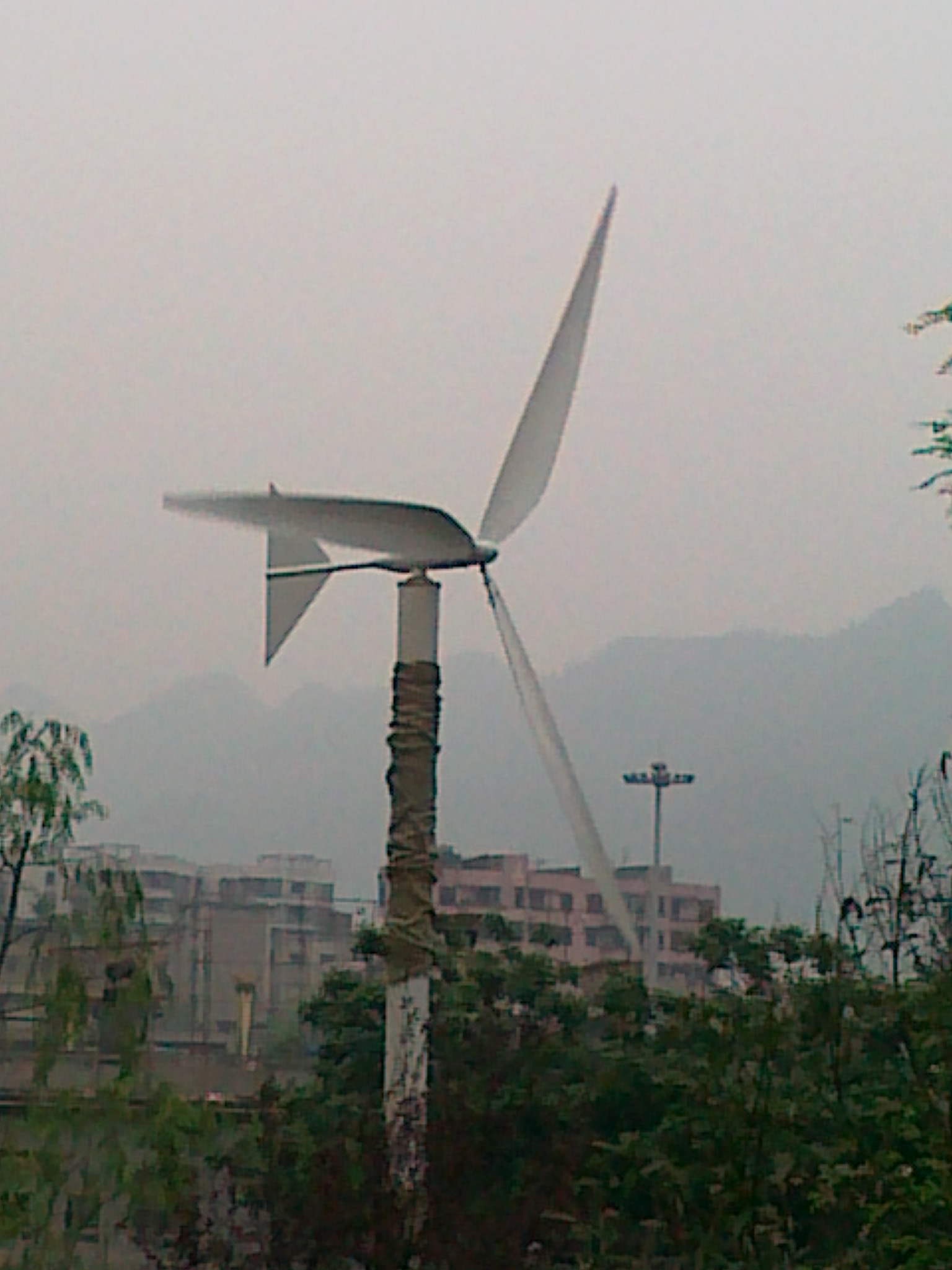 20120526799.jpg