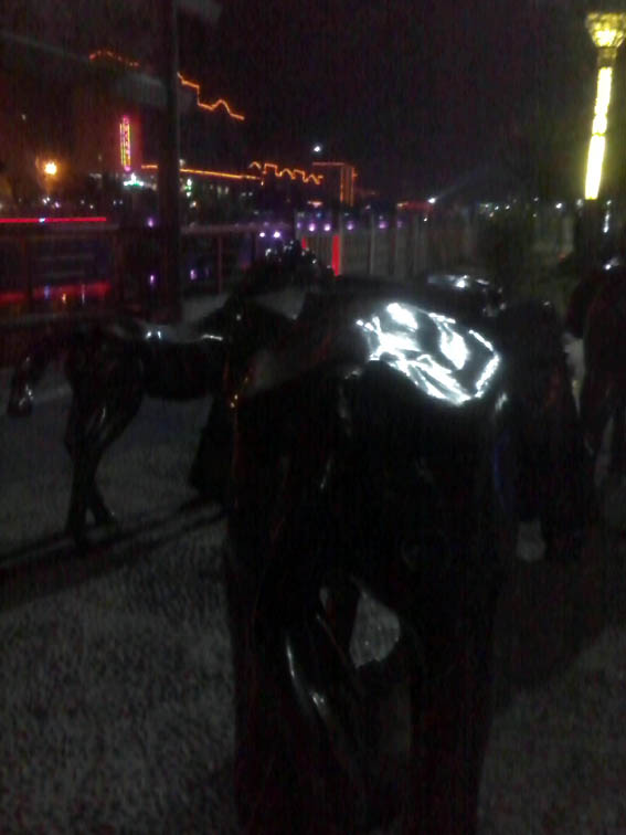 Ƭ0770.jpg