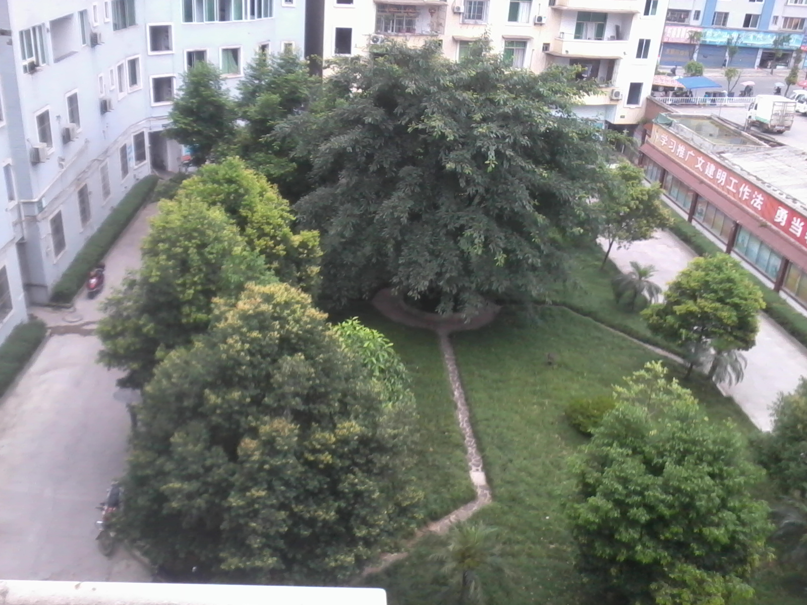 Ƭ0790.jpg