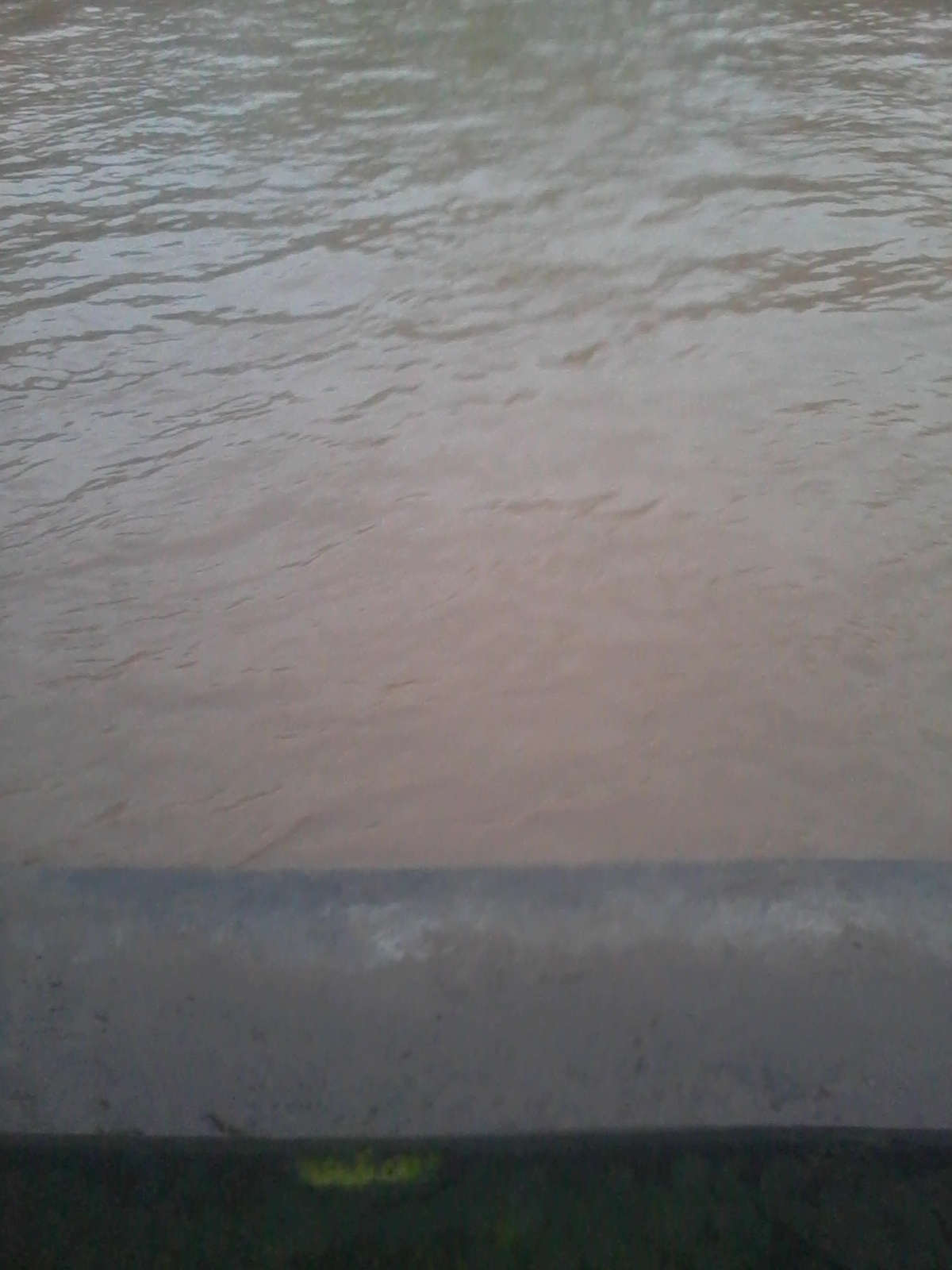 Ƭ0801.jpg