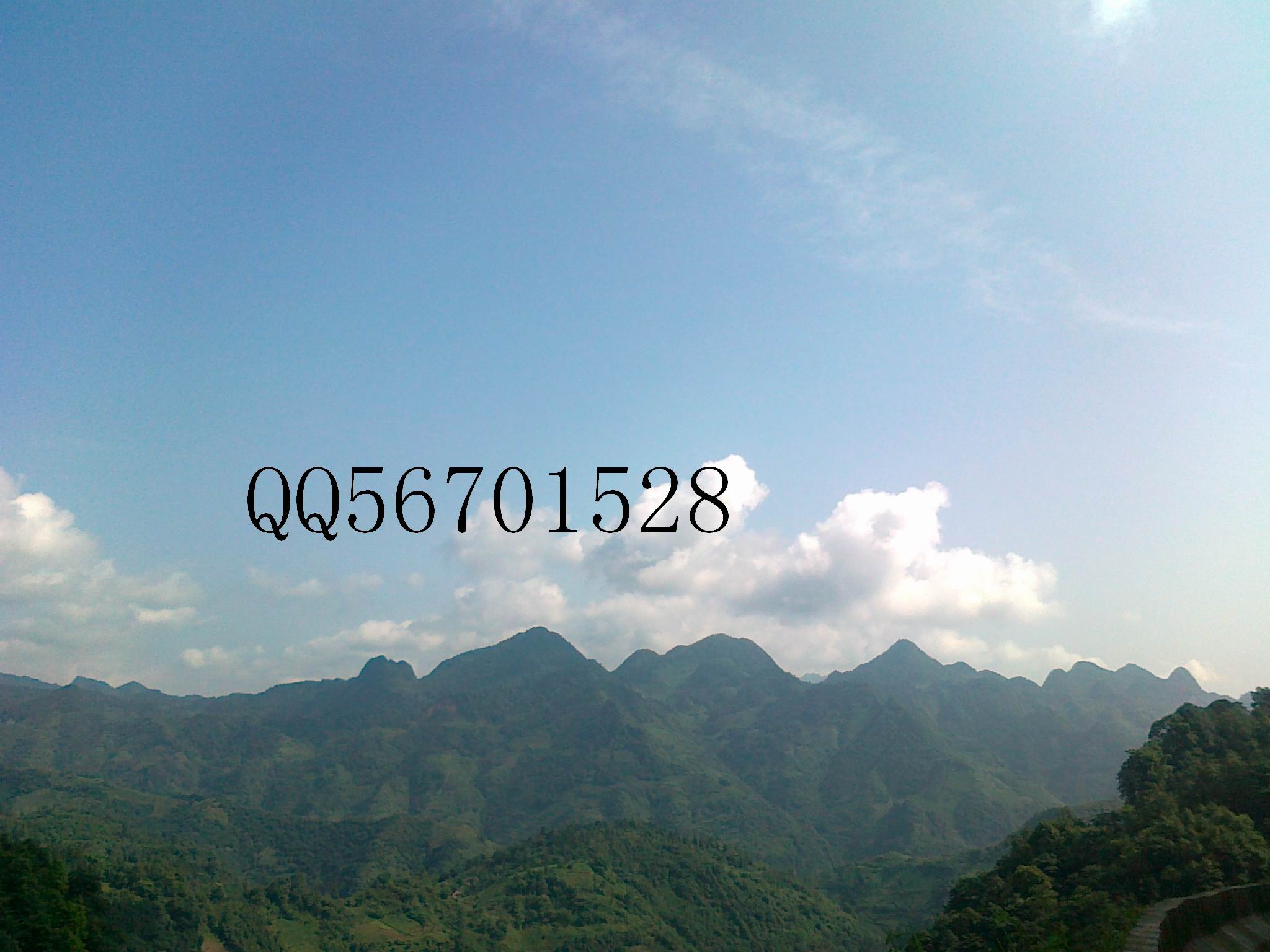 20120701135.jpg