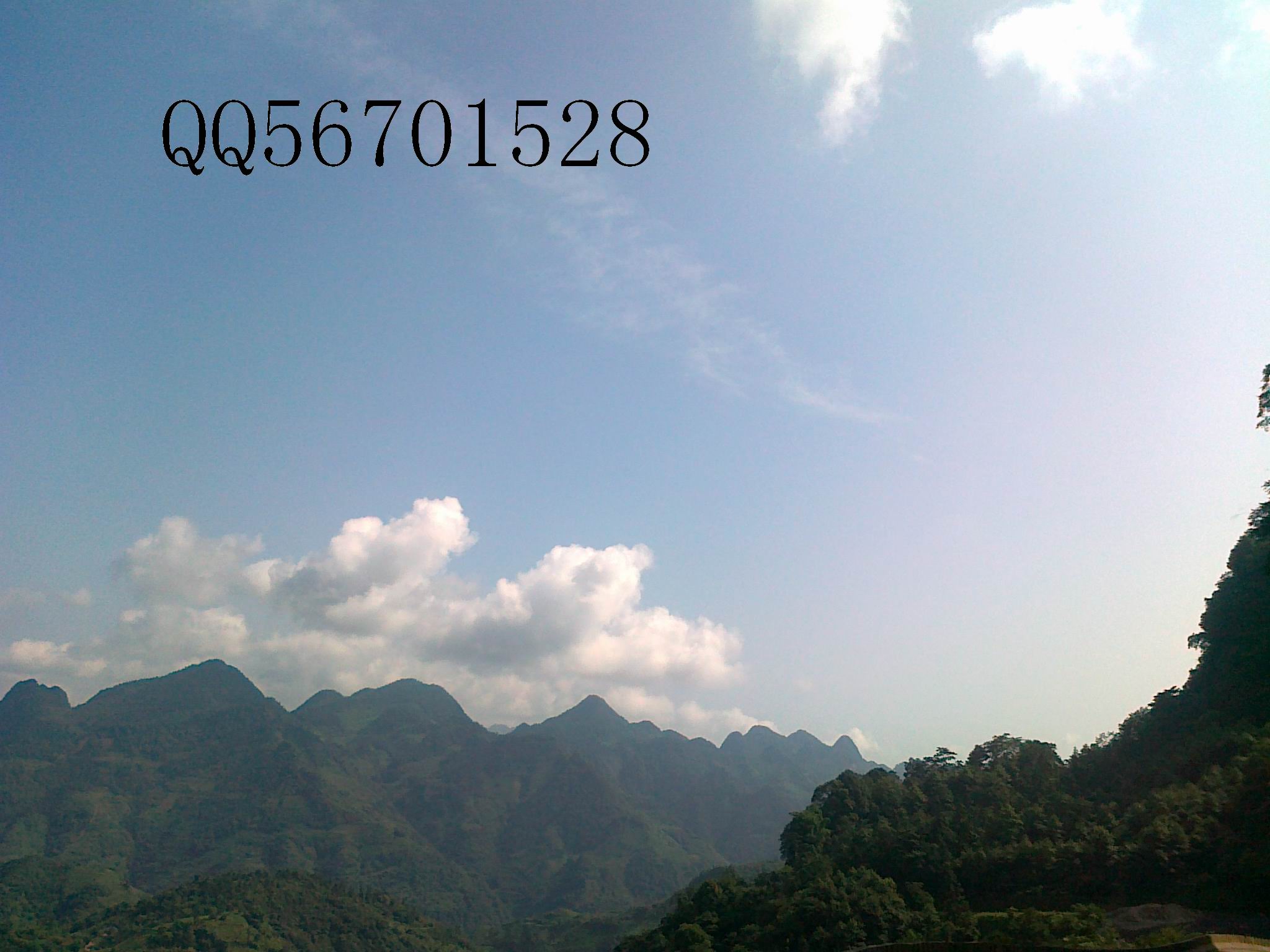 20120701136.jpg