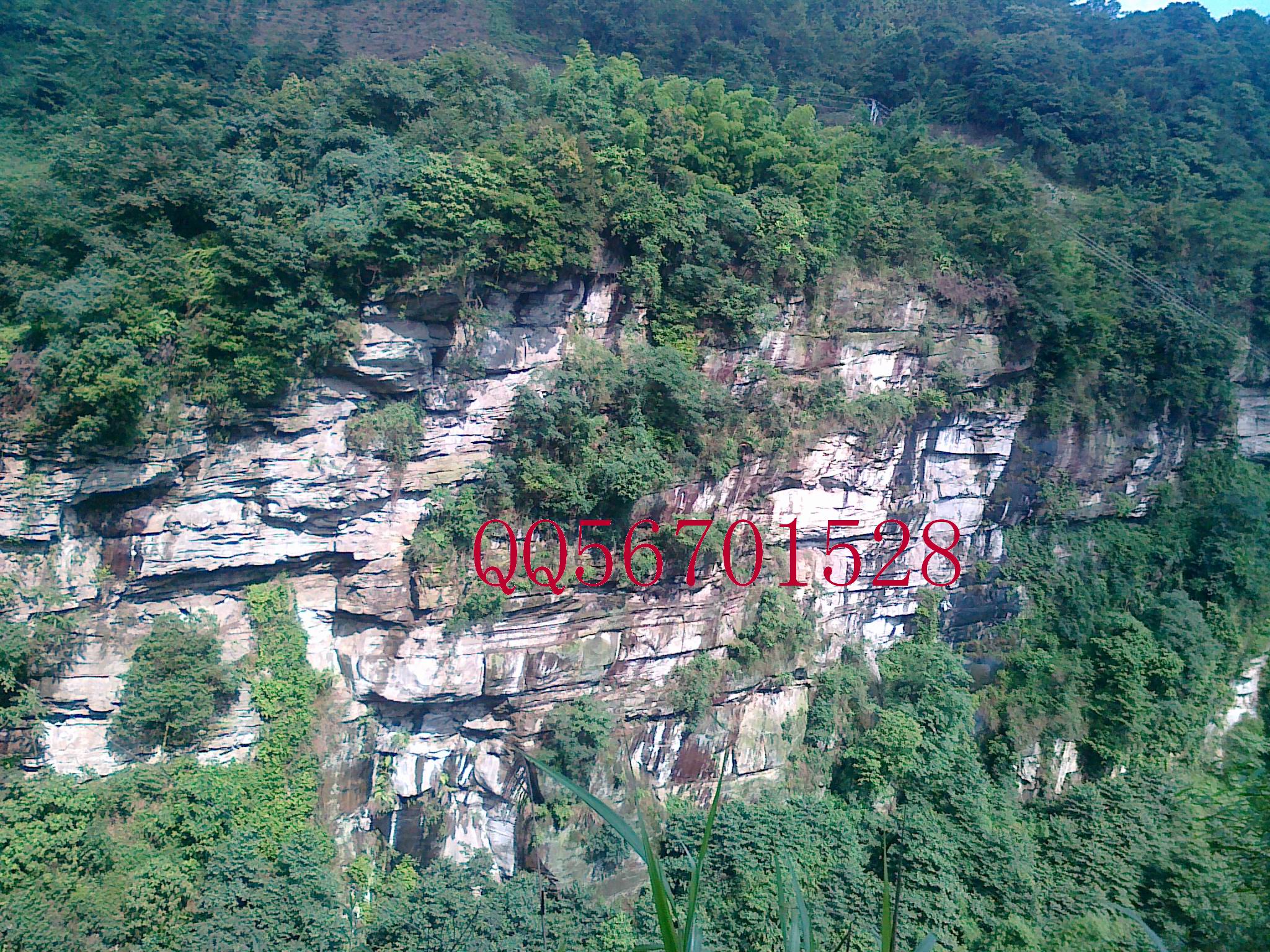 20120701140.jpg