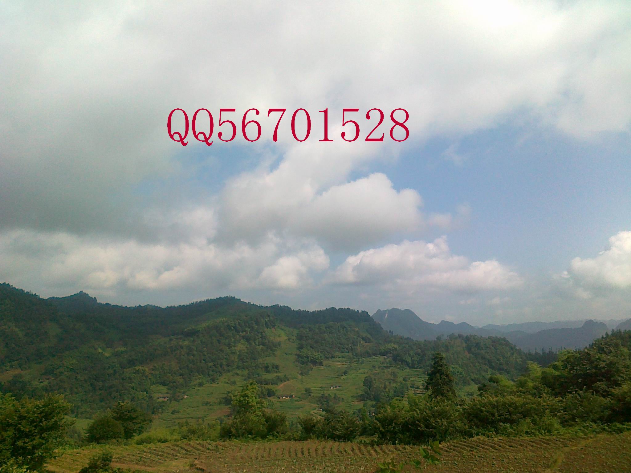 20120701144.jpg