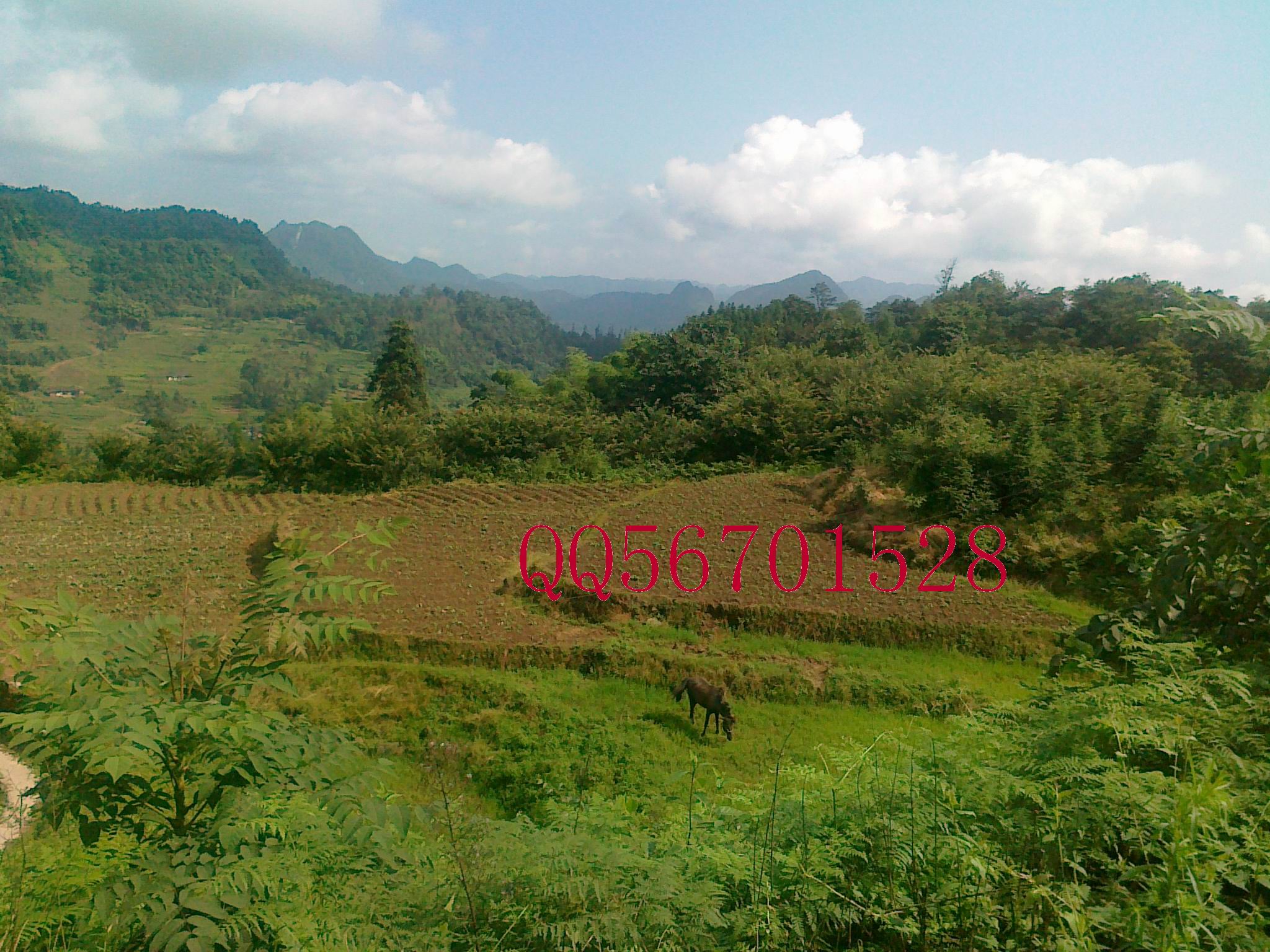 20120701146.jpg