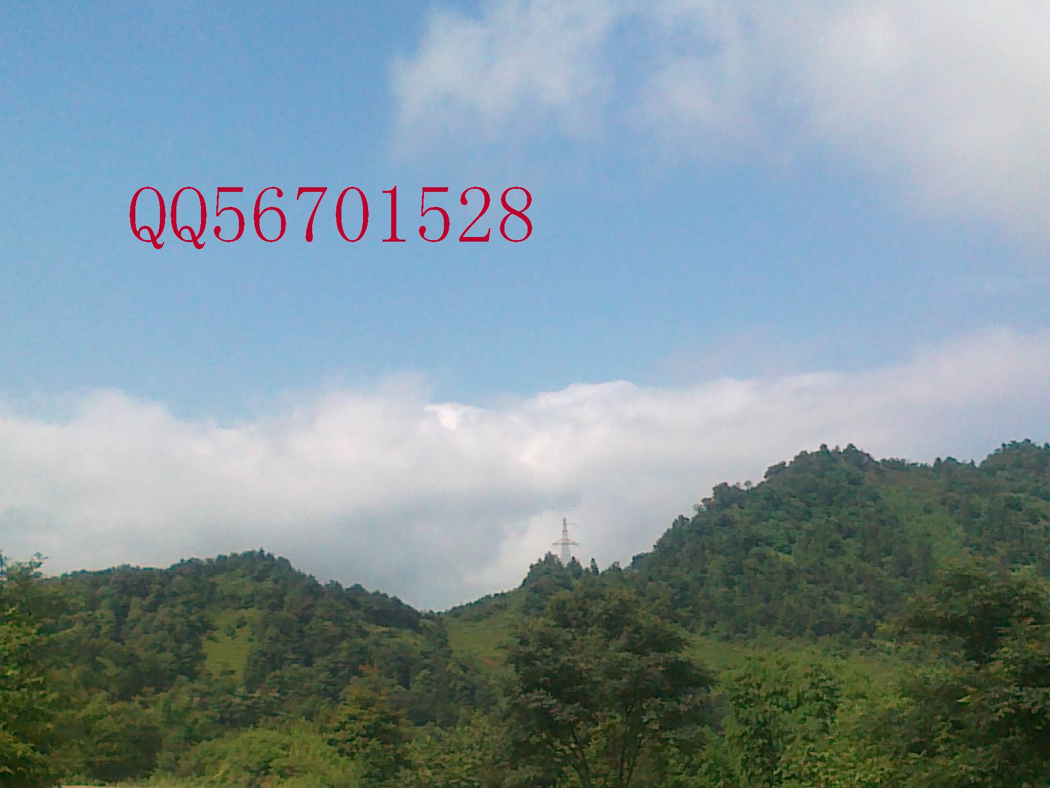 20120701149.jpg
