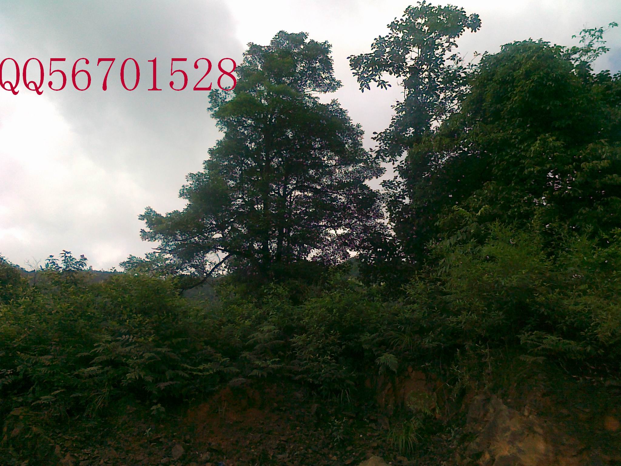 20120701157.jpg