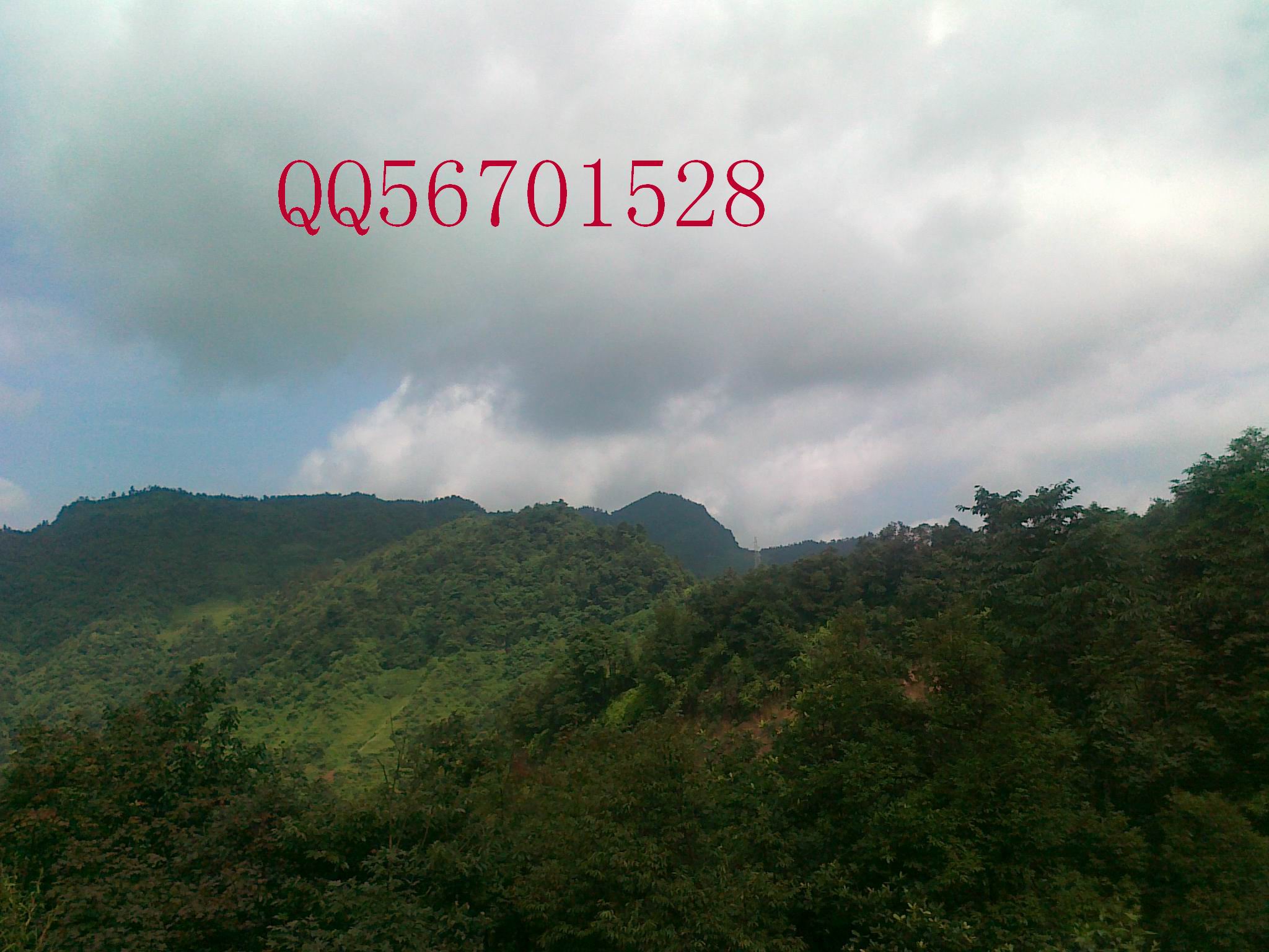 20120701158.jpg