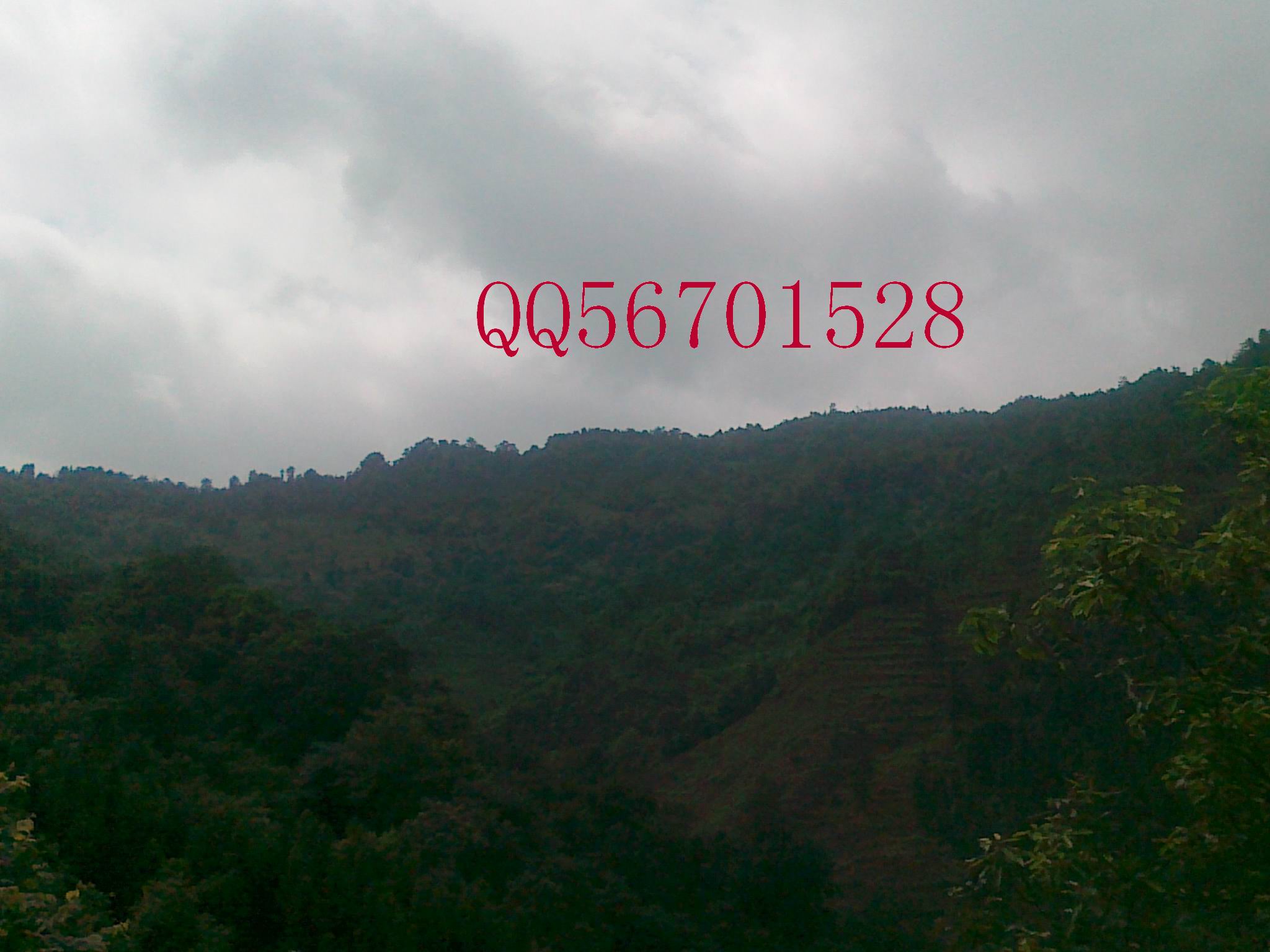 20120701159.jpg