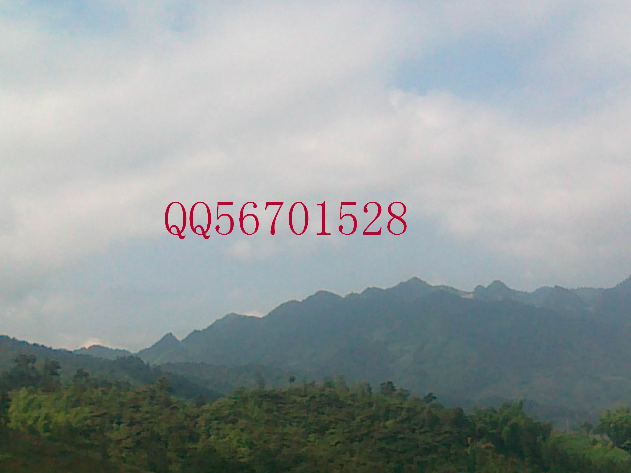 QQ56701528
