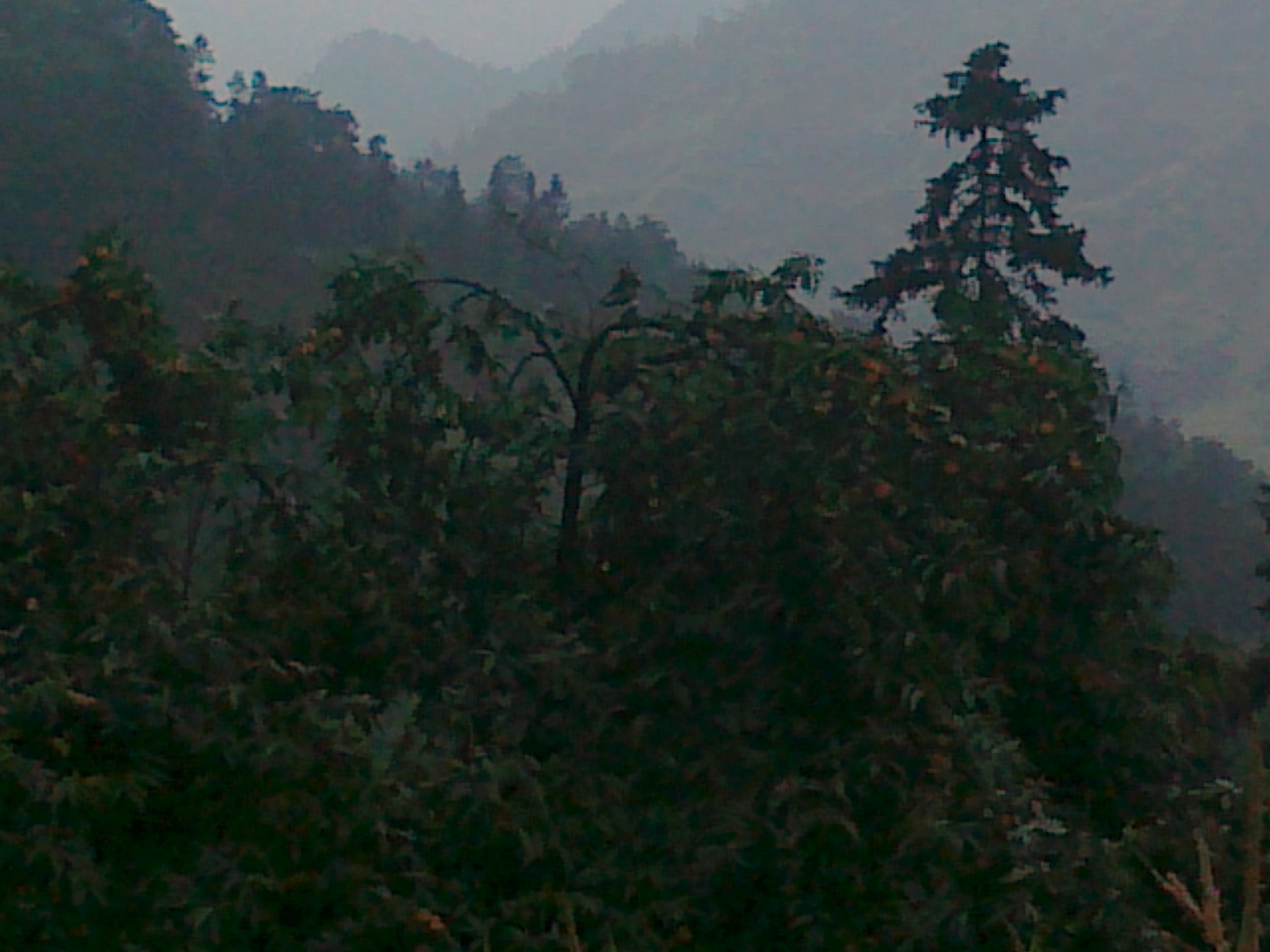 QQ56701528
