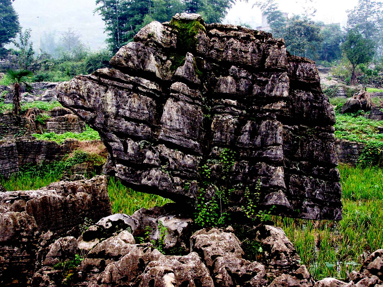 綯ʯ4.jpg