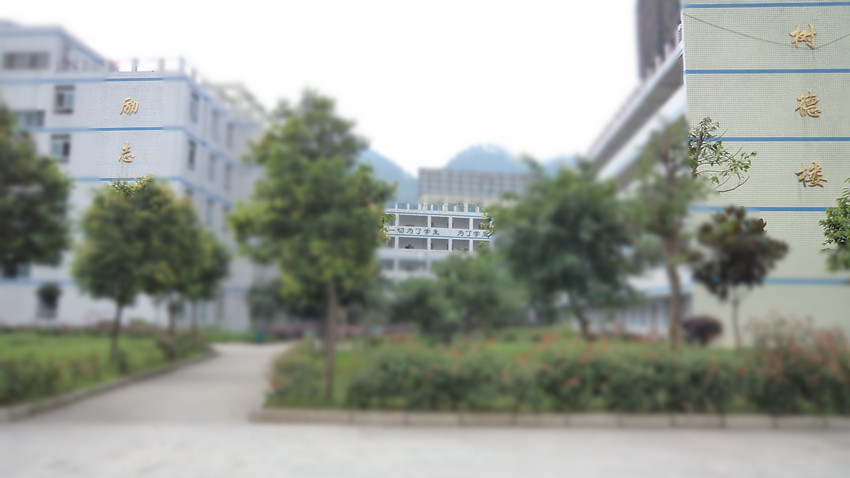 DSC00459_.jpg