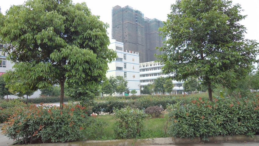 DSC00434_.jpg