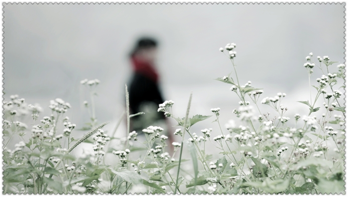 nEO_IMG_yutian (19).jpg