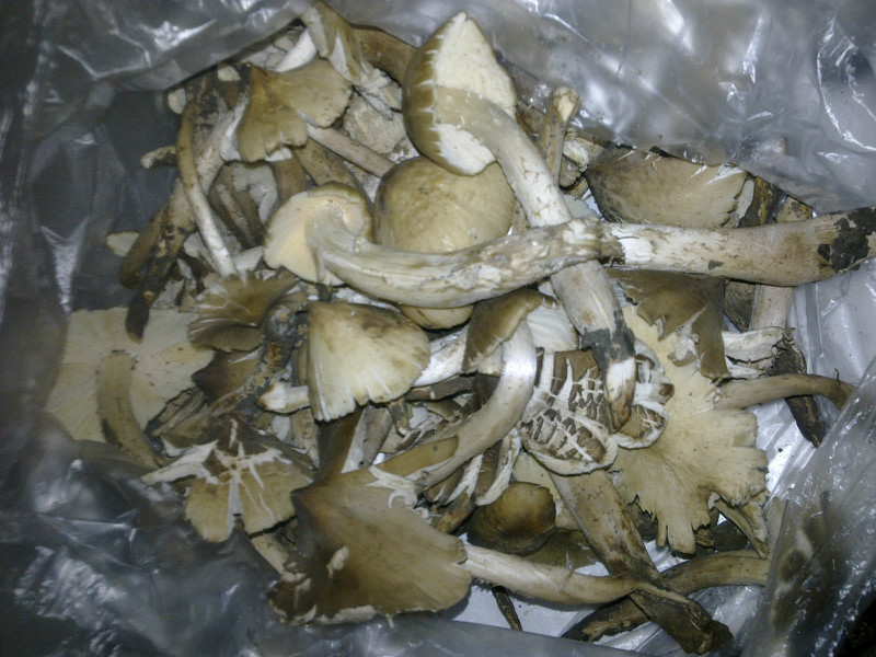 04.jpg