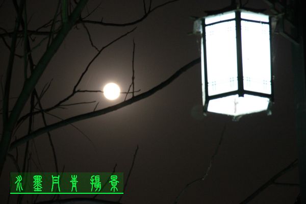 IMG_0523.jpg