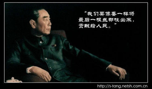 43f1ed2206ef31ab829d4.jpg