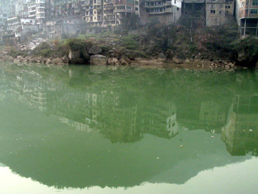 IMAG0079.JPG