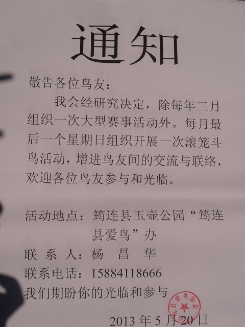 25_259746_d91861dde949500.jpg