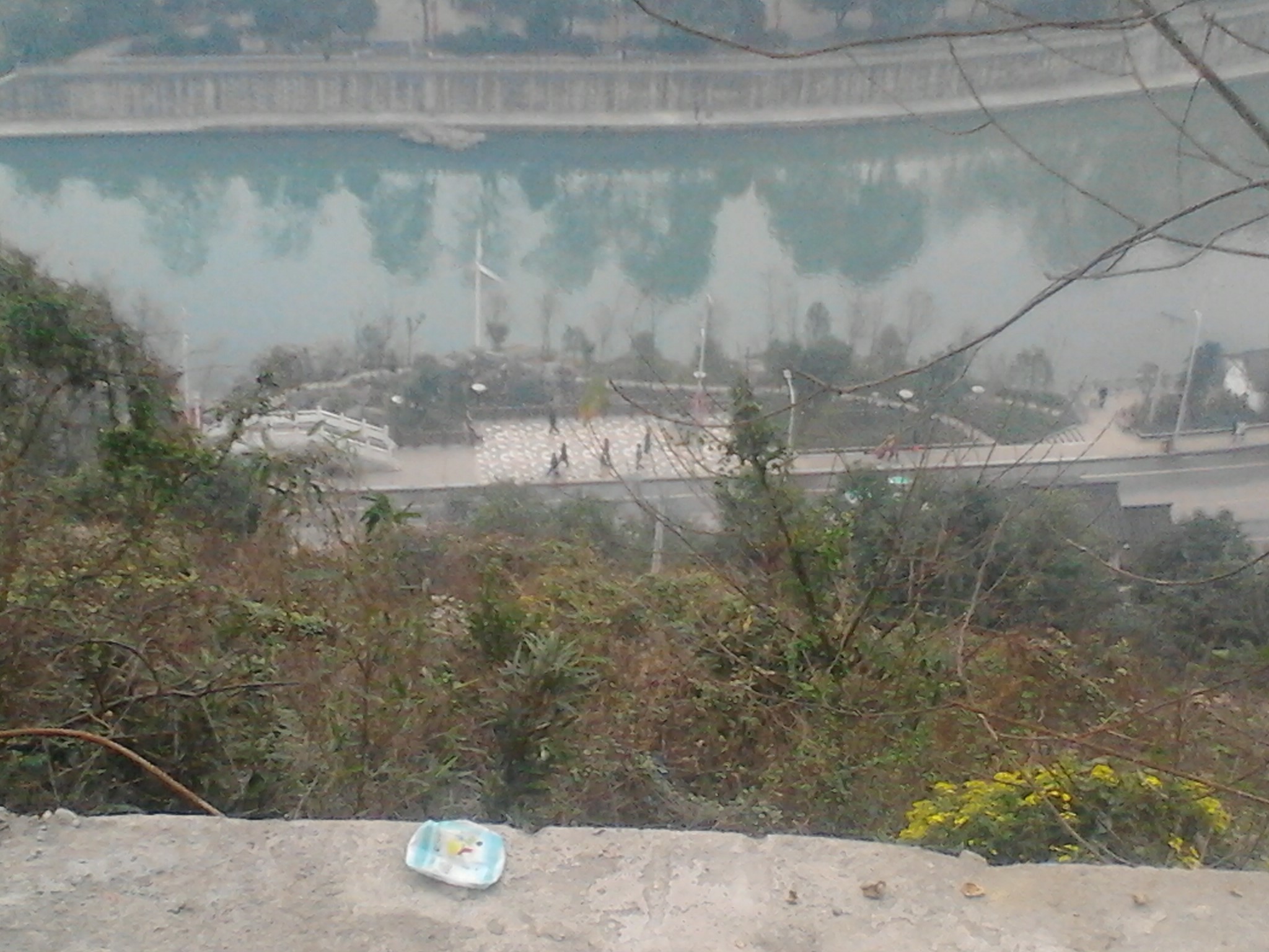 IMG_20130217_094025.jpg